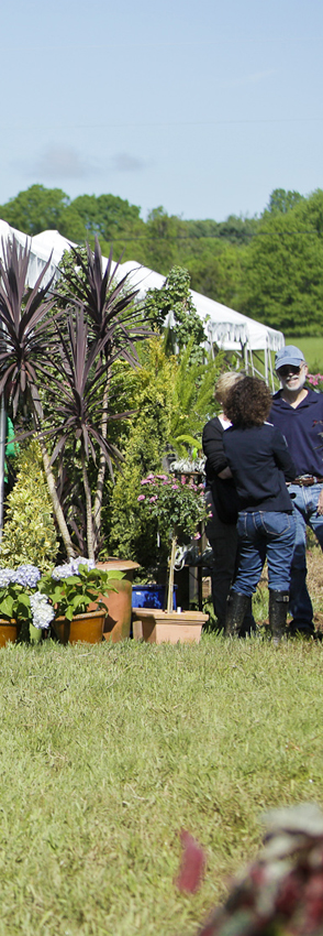 Earthly Delights Accomodation