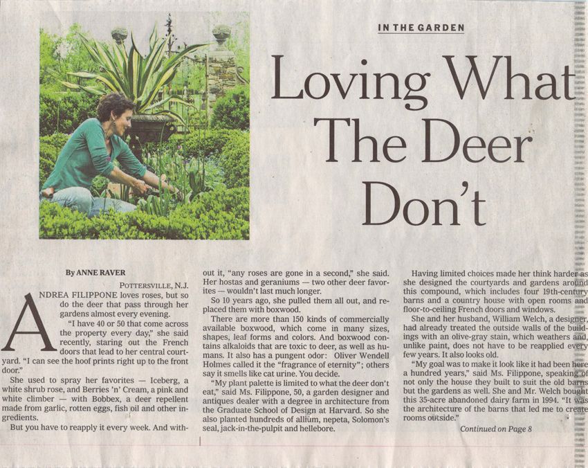 New York Times Earthly Delights 2